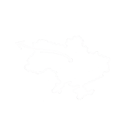 vyezd